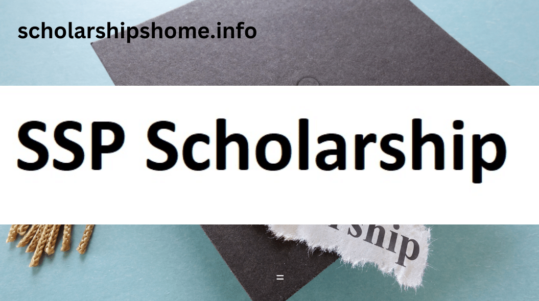 SSP scholarship Special Scholarship 2023