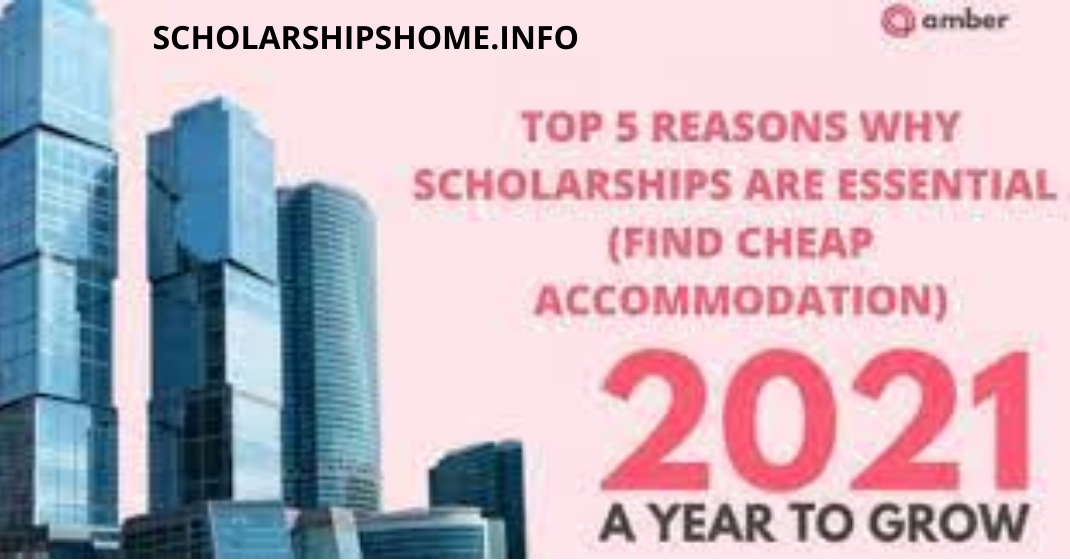 Top 5 Reasons Why Scholarships are Essential