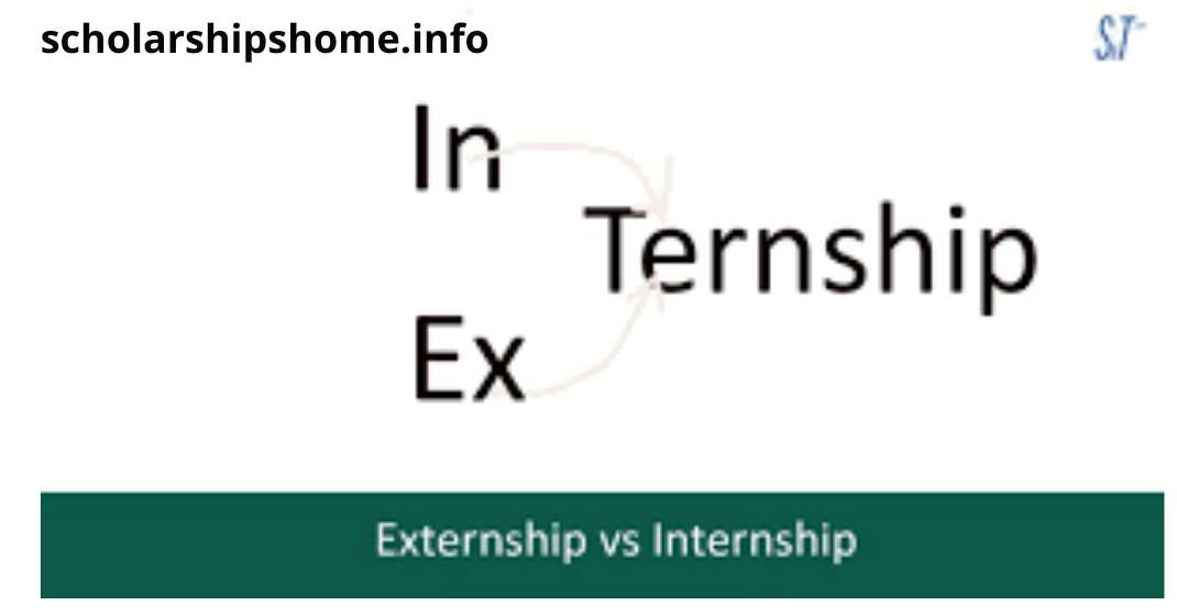 externship vs internship