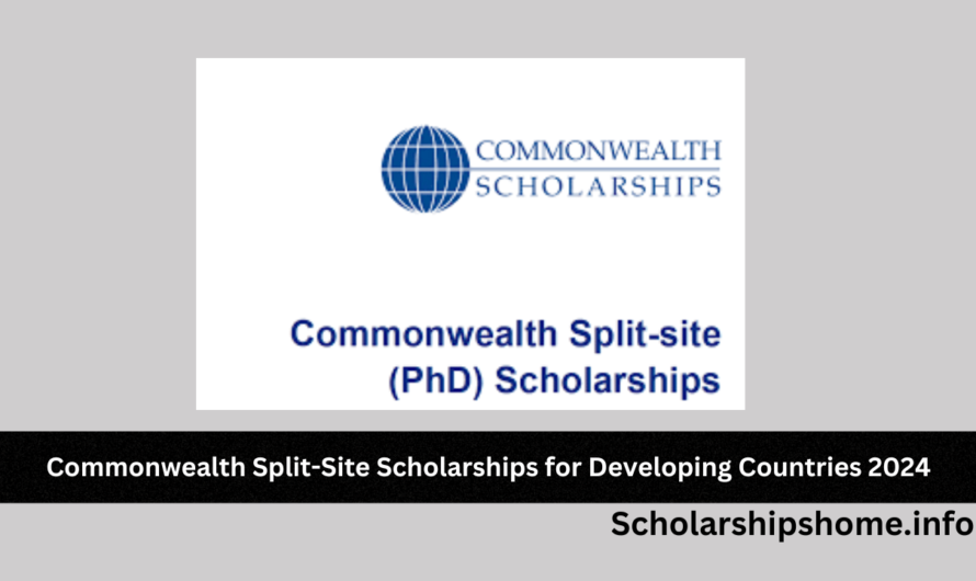 Commonwealth Split-Site Scholarships for Developing Countries 2024