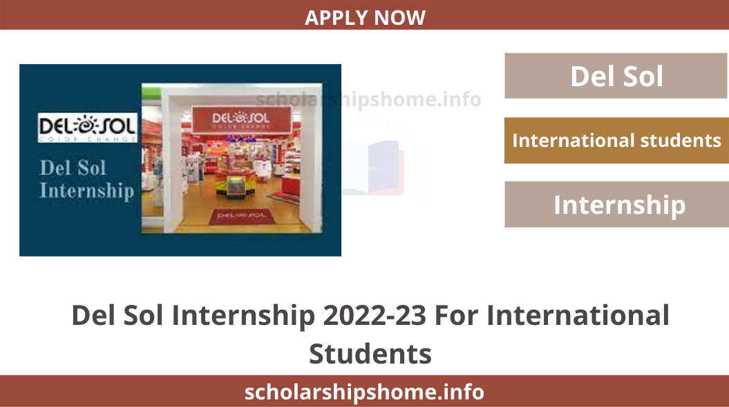 Del Sol Internship 2022-23 For International Students