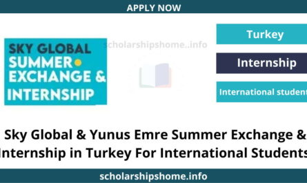 Sky Global & Yunus Emre Summer Exchange & Internship in Turkey For International Students 