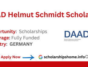 DAAD Helmut Schmidt Scholarship