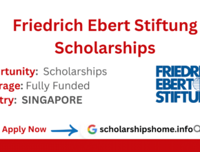 Friedrich Ebert Stiftung Scholarships