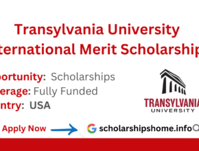Transylvania University International Merit Scholarships