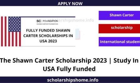 The Shawn Carter Scholarship 2023 | Study In USA Fully Funded
