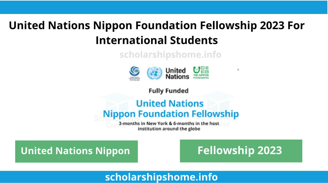 United Nations Nippon Foundation Fellowship 2023 For International Students
