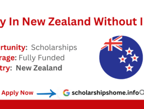 Study In New Zealand Without IELTS