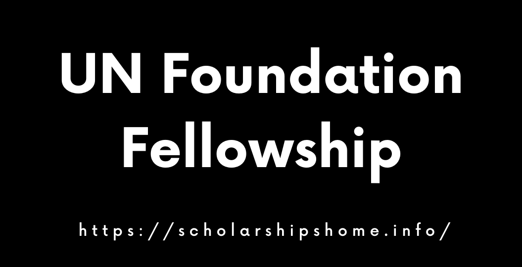 UN Foundation Fellowship in Brazil