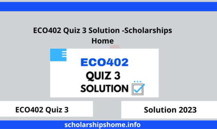 ECO402 Quiz 3 Solution -Scholarships Home