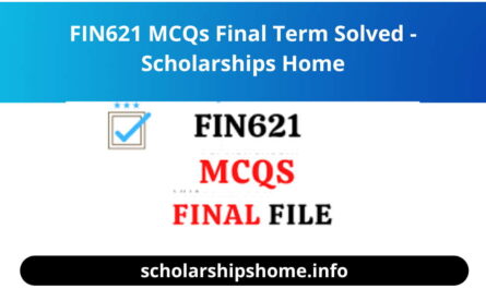 FIN621 MCQs Final Term Solved - Scholarships Home