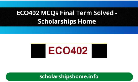 ECO402 MCQs Final Term Solved - Scholarships Home