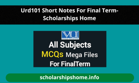 Urd101 Short Notes For Final Term-Scholarships Home