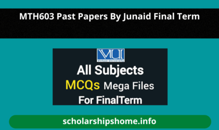 MTH603 Past Papers By Junaid Final Term