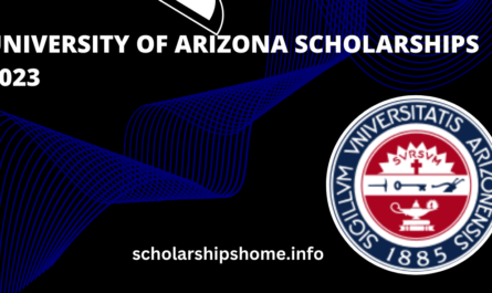 University of Arizona Scholarships 2023 in the USA. applications are open now for students.  The scholarship opportunity for the Bachelor, Master, and Ph.D.