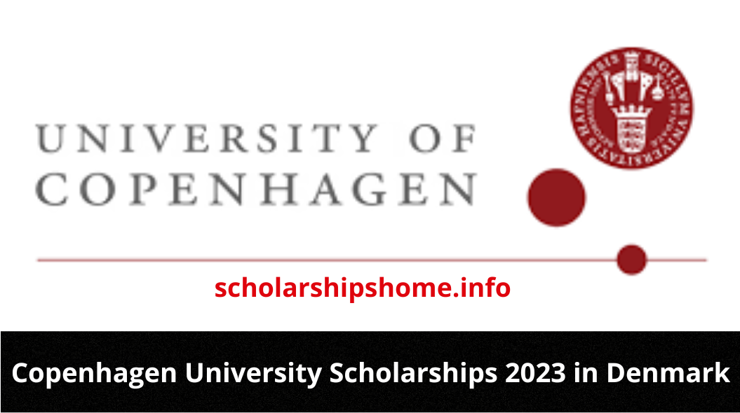 Applications are now open for the  Copenhagen University Scholarships 2023. The scholarships are for Master, Ph.D., and Postdoctoral study programs