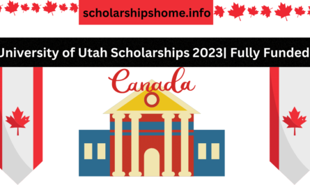University Of Lakehead Scholarships in Canada 2023 Applications are now open for international students. students from across the world are now invited to apply