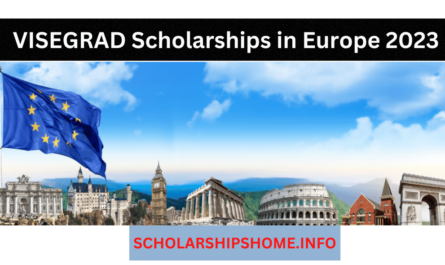 Applications are now open to apply for VISEGRAD Scholarships in Europe 2023 Without IELTS. Scholarship submissions for such a year as 2023–24