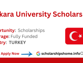 Ankara University Scholarship