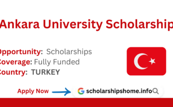 Ankara University Scholarship
