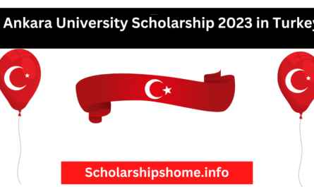 Fully Funded Turkey Government Scholarship 2023? We are glad to announce that applicants can apply for the Ankara University Scholarship 2023 for International Students 2023