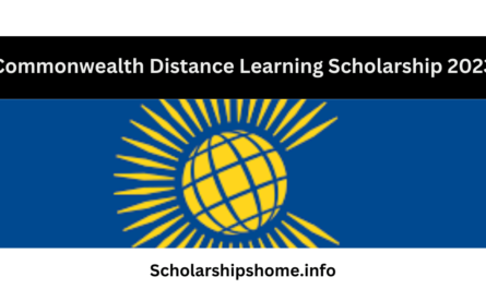 The Commonwealth Distance Learning Scholarship 2023 is a scholarship program that is funded by the UK government's Department for International Development