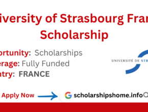 University of Strasbourg France Scholarship