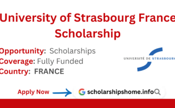 University of Strasbourg France Scholarship