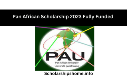 The Pan African Scholarship 2023 is a prestigious program that aims to provide African students with the opportunity