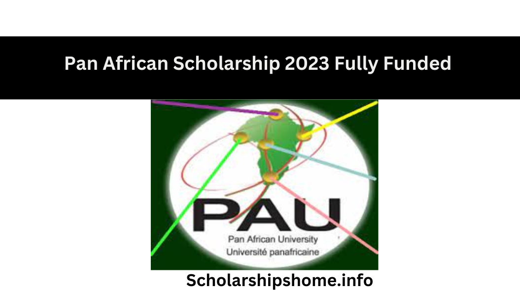 Pan African Scholarship 2023 Fully Funded - Scholarships Home