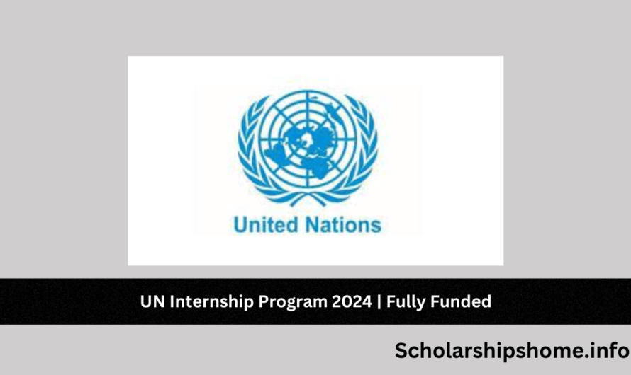 UN Internship Program 2024 | Fully Funded